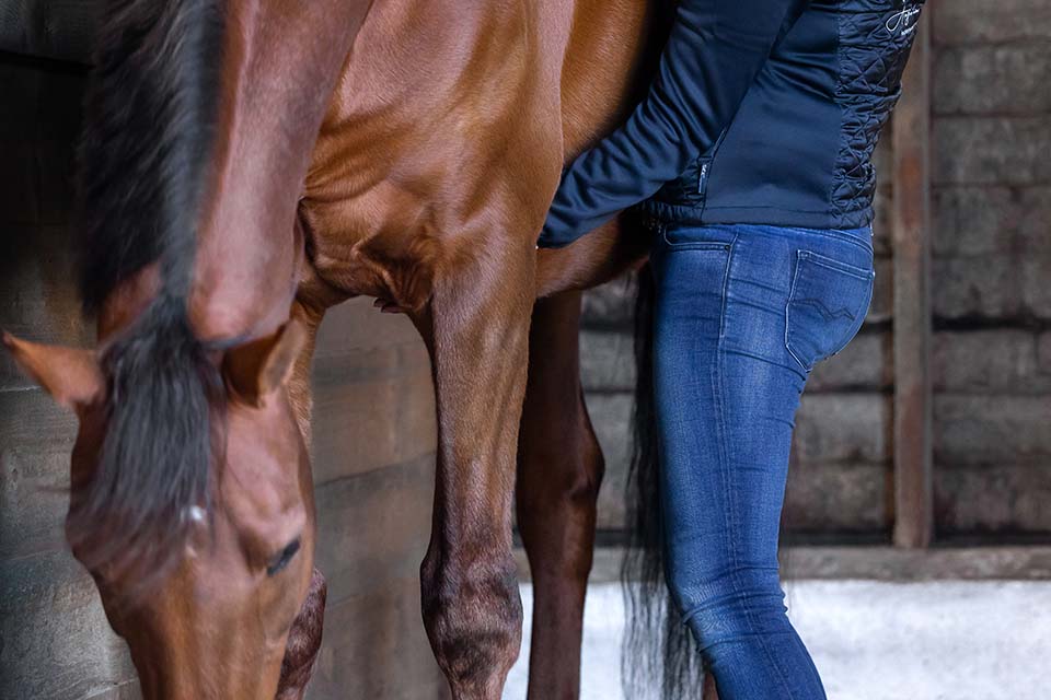 Lösen einer Bachfaszie mit Energie - Faszientherapie für Pferde