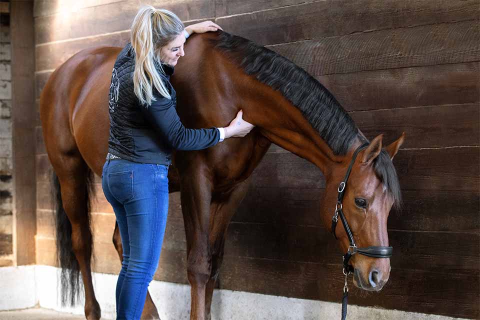 Unterhals lösen - Faszientherapie für Pferde