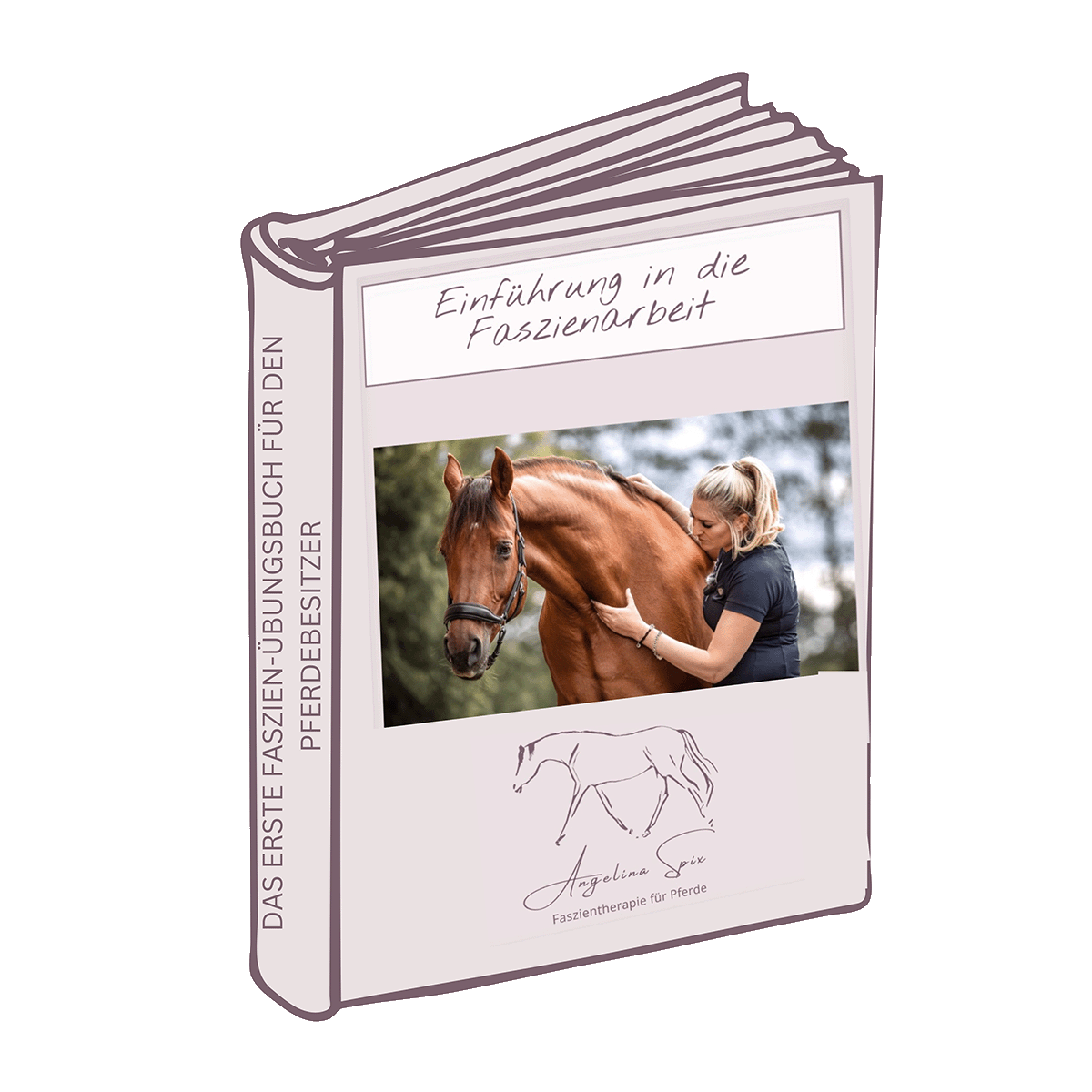 Onlinebuch - Einführung in die Faszientherapie