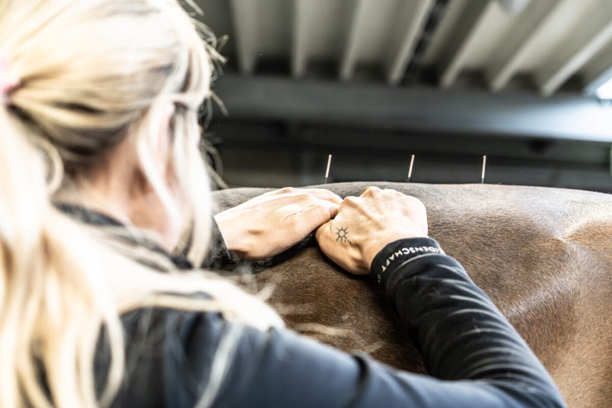Faszienpunktur - Dry Needling 16./17.07.2026 in Dormagen NRW