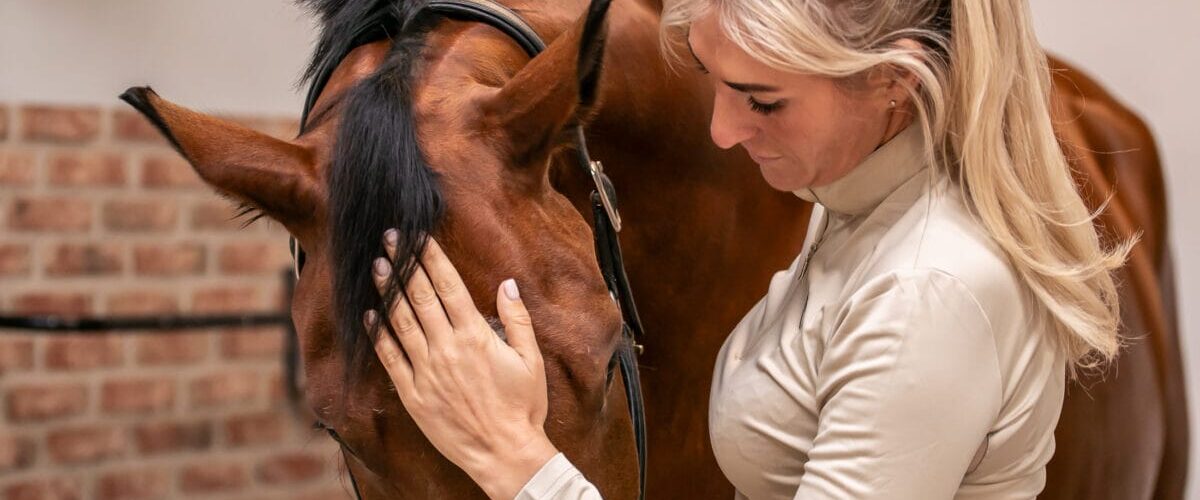 Angelina löst die Faszien am Kopf des Pferdes